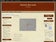 Orpheo Boudoir